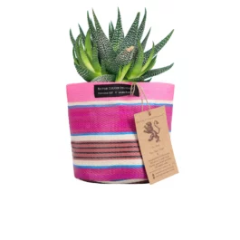 Striped Woven Plant Pot Cover from British Colour Standard (14cm)
