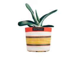 Striped Woven Plant Pot Cover from British Colour Standard (14cm)